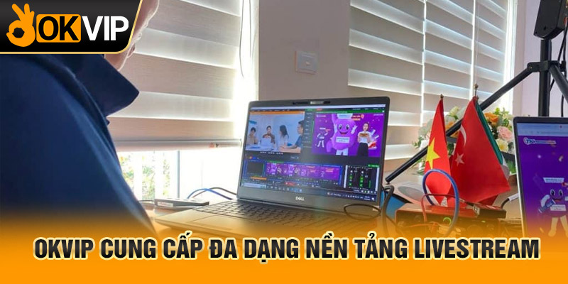 trang chủ OKVIP - 28/3 11 Nền tảng live bóng đá trực tiếp