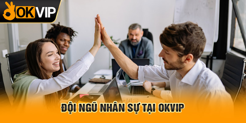trang chủ OKVIP - 28/3 18 Đội ngũ nhân sự tại OKVIP